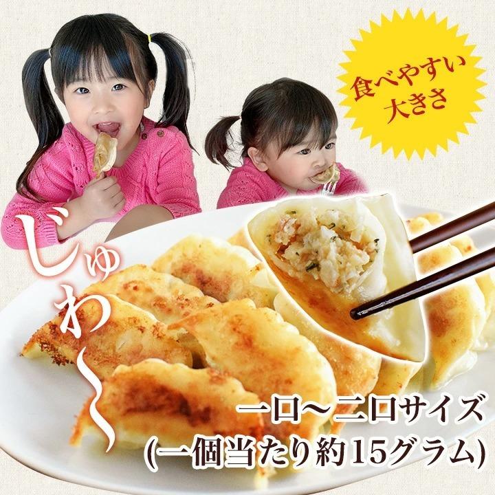 お一人様1回限り お試し！ 鶏しそ餃子 30個入り(30個入り×1袋) 冷凍餃子 餃子 送料無料 お試し 生餃子 冷凍生餃子 食品 惣菜 中華 鶏肉