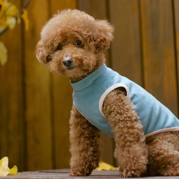 舒柔比比衣(泡泡糖)_Bebe4系列_S-6L,FB 柔軟彈性 /牽繩洞設計