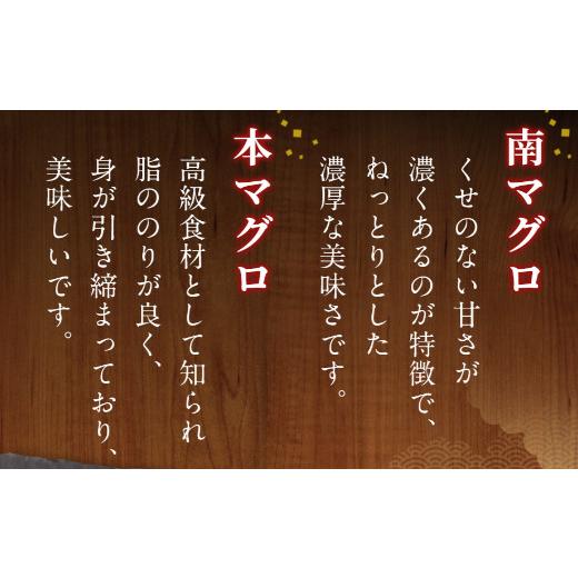 ふるさと納税 高知県 室戸市 天然本マグロ　天然南マグロ　中トロ　各1柵　奇数月にお届け