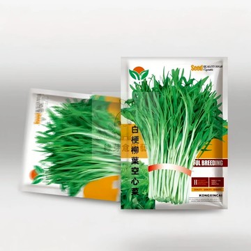 🌱【原裝空心菜種子】白梗柳葉空心菜 親測出芽率超85% 耐高溫 早熟品種 速生快長 易種植 通菜 抗病性強 盆栽蔬菜種子
