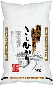 新潟県魚沼産 白米 こしひかり 5kg 令和4年産