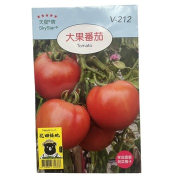 【向花緣】天星牌 大果番茄 - 蔬菜種子