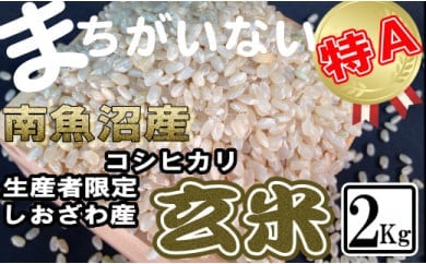 玄米 生産者限定 南魚沼しおざわ産コシヒカリ2Kg