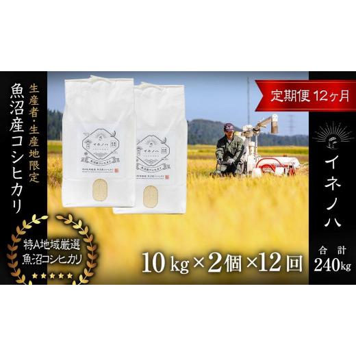 ふるさと納税 新潟県 十日町市 ＜定期便・全12回＞【令和5年産魚沼産コシヒカリ「イネノハ 」精米(10kg×2)×12回