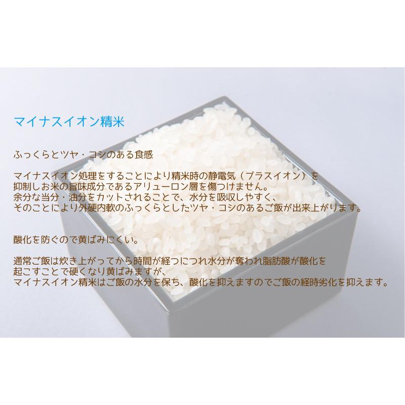 令和５年産 無洗米福井県産コシヒカリ 10kg 白米 安い ５kg×２ 単一原料米 送料無料