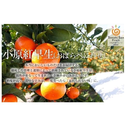 ふるさと納税 香川県 「さぬき讃フルーツ」越冬さぬき紅みかん　約5kg