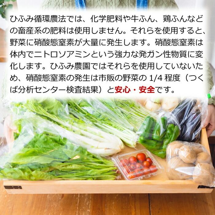  無農薬野菜セット 相模湖からお届けする無農薬野菜「季節のおまかせ詰め合わせ」 オーガニック 旬 食材 新鮮 採れたて 厳選 食品 国産 産直野菜