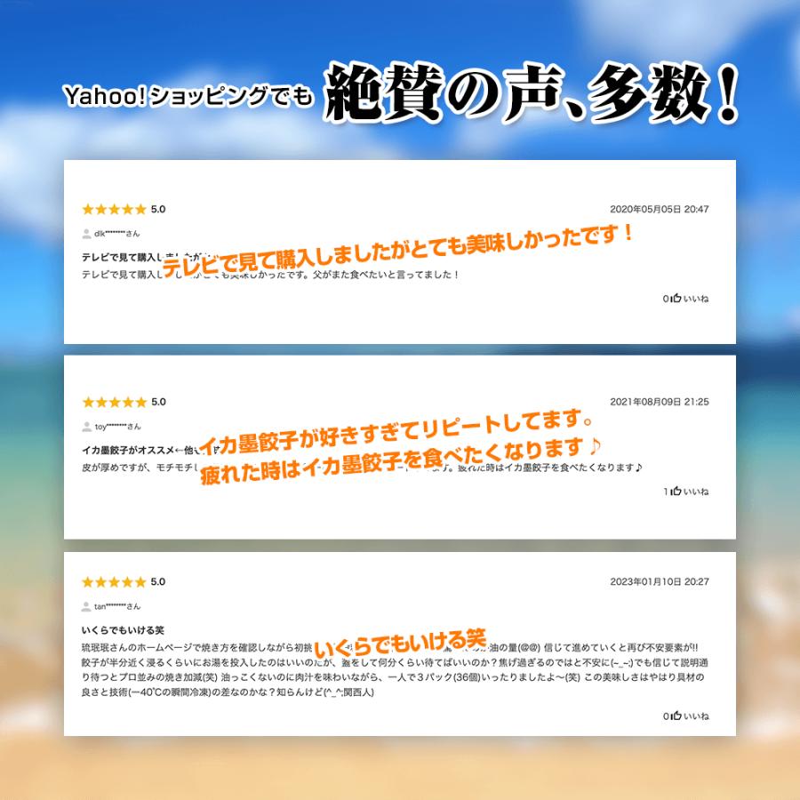 餃子 沖縄 アグー豚 もずく にんにく ゴーヤー イカスミ 島とうがらし 取り寄せ 琉みんみん 96個入 8パックセット 冷凍餃子 点心