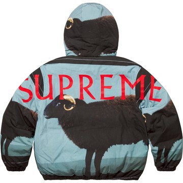 AirRoom 正品現貨 2025SS Supreme Damien Hirst Down Puffer 藝術家 外套