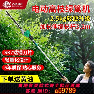 【廠家直銷 可打統編】電動高枝綠籬機長桿高空修剪機園林綠化充電式桂花樹荔枝樹剪枝機