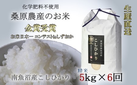 桑原農産のお米5kg×6ヵ月　南魚沼産こしひかり