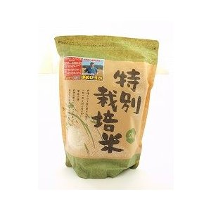 長沼ゆめぴりか（無農薬）　白米　2kg