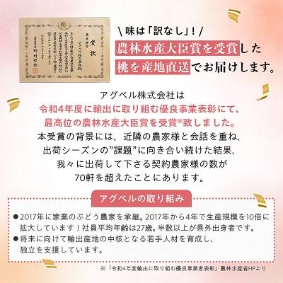 ふるさと納税 山梨市 桃5〜9玉2kg以上　2024年6月中旬より順次出荷予定