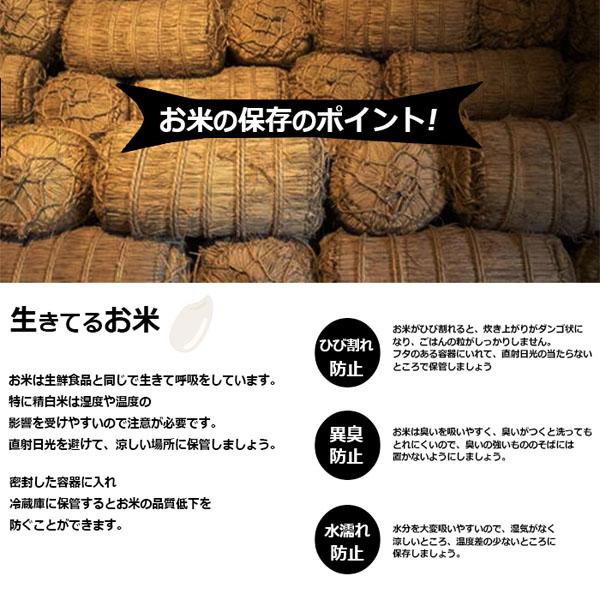 米25kg 米 お米 25kg 令和ふるさと米 5kg×5袋 セット 送料無料 こめ 白米 精米 小分け ブレンド米