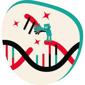 Human Cloning and Genetic Engineering