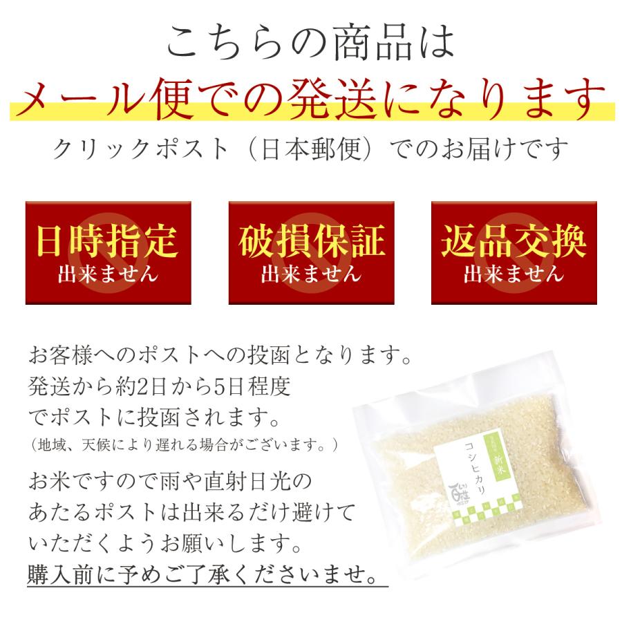 新米 コシヒカリ 3合 450g 令和5年 送料無料 ポイント消化 お試し お茶碗 6杯分 お米 白米 食品 1等級米 米 真空パック 農家直送 滋賀県 お米 ポイント 産地直送