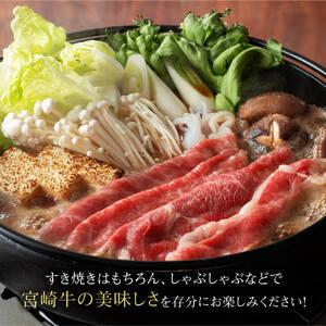 ふるさと納税 宮崎牛 すき焼き ２種 600g  宮崎県川南町