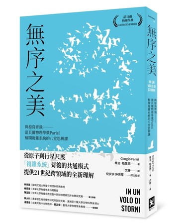 無序之美：與椋鳥齊飛【諾貝爾物理學獎Parisi解開複雜系統的八堂思辨課】[二手書_良好]