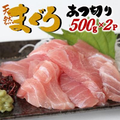 ふるさと納税 西脇市 天然メバチマグロ 希少部位 ハラモ 切り落とし(腹身) 約1kg (500g×2P)16-10