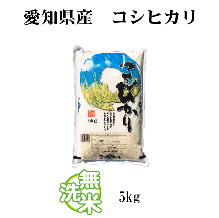 新米 米 無洗米 5kg 送料無料 コシヒカリ 愛知県産 令和5年産 コシヒカリ お米 5キロ 送料無料