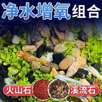 🔥優選好物🚀天然火山石溪流石套餐專用造景裝飾鋪底原生水族魚缸天然底砂顆粒 QCHK