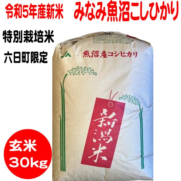 玄米30kg　送料無料　特別栽培米みなみ魚沼こしひかり