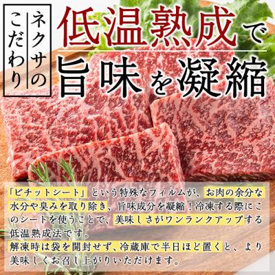 ふるさと納税 佐伯市 おおいた和牛 モモステーキ (計800g)