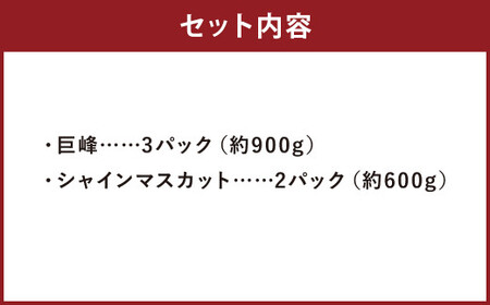 ご家庭用 旬のぶどう食べ比べ 完熟巨峰 シャインマスカット 詰め合わせ 計5パック 約1.5kg 