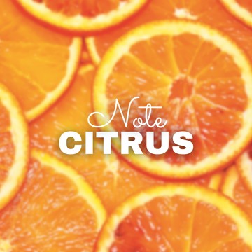 [Nose Job]柑橘調香水專區(10ml)