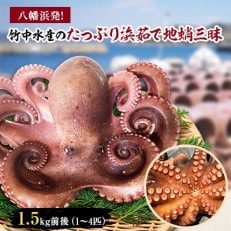 八幡浜発!竹中水産のたっぷり「浜茹で地蛸」三昧!1.5kg前後