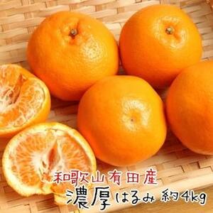 和歌山 有田 の 濃厚 はるみ 約4kg(2L又は3Lサイズ)