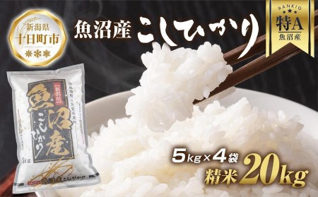 魚沼産 コシヒカリ 5kg ×4袋 計20kg お米 こしひかり 新潟 （お米の美味しい炊き方ガイド付き）