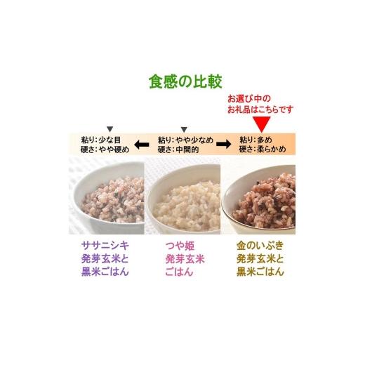 ふるさと納税 宮城県 登米市 金のいぶき発芽玄米と黒米を炊いたごはん150g×40パック（有機栽培玄米使用）