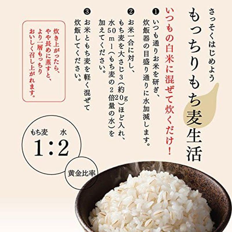 もち麦 国産 900g 栃木県産 もち絹香 雑穀 チャック付