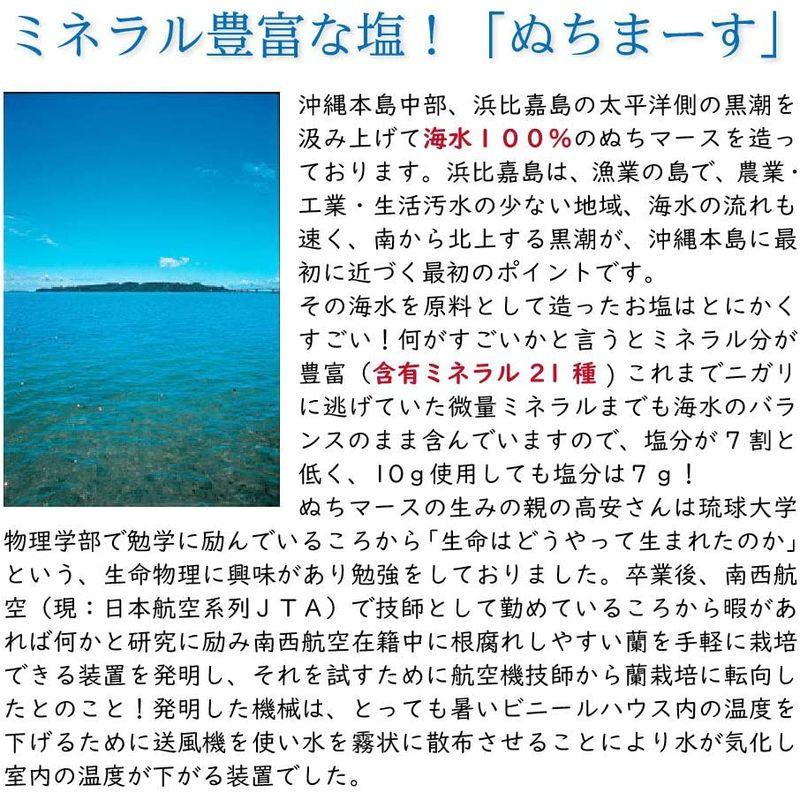 沖縄海塩 ぬちまーす 111g 顆粒タイプ (5個)