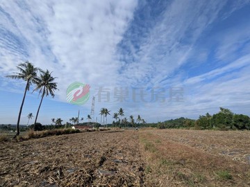 萬巒近沿山公路蒼翠靈秀風景約4.78分低總價農地｜屏東縣萬巒鄉富山段