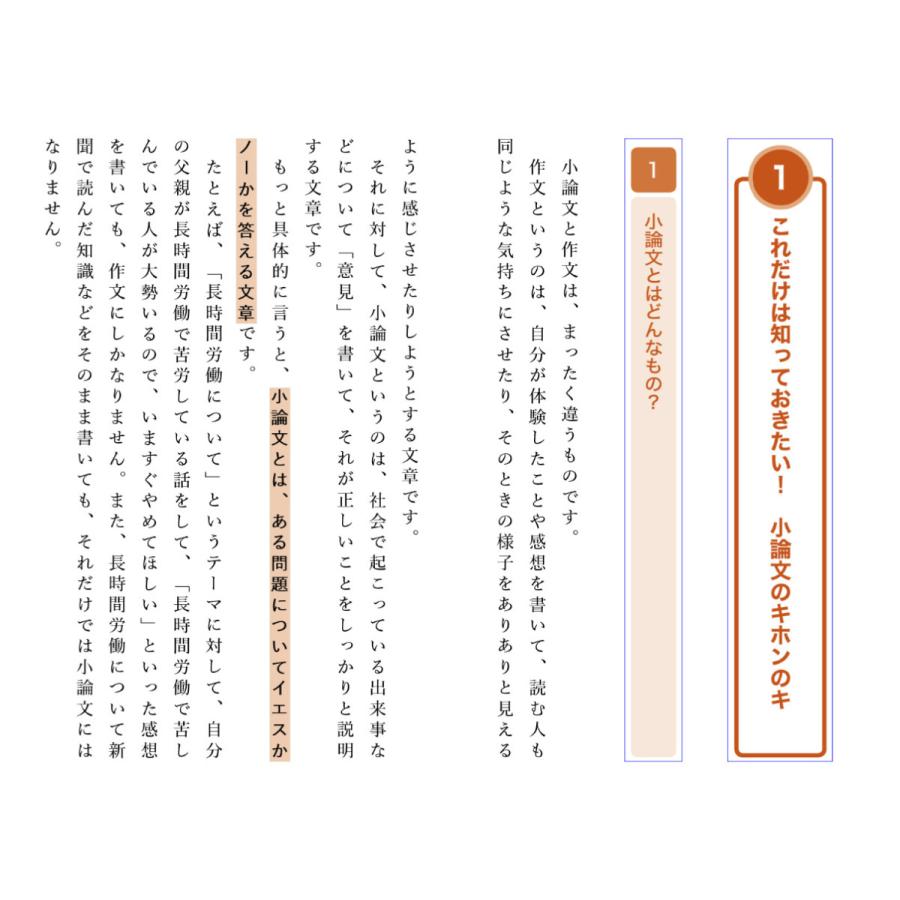 小論文これだけ模範解答 経済・経営編