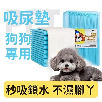 熱銷 寵物尿墊 狗狗一次性尿墊 加厚紙尿墊 狗狗除臭尿片 寵物尿不濕 強力吸水 寵物吸水墊 狗狗隔尿墊 狗狗訓練紙尿墊