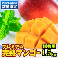 数量限定！プレミアム完熟マンゴー1.5kg　贈答用