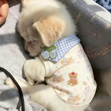 春夏薄款卡通圖透氣寵物狗狗貓咪專用可愛背心服飾泰迪比熊...