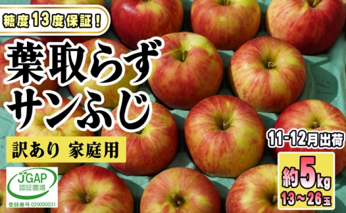 11～12月発送家庭用 葉取らず サンふじ 約5kg