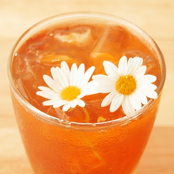 花草巫婆冷泡飲 洋甘菊錫蘭 12入