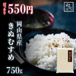 お米 新米 令和5年 岡山県産きぬむすめ750g 特A 送料無料 ポイント消化 ぽっきり 安い お試し