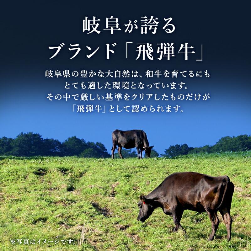 鵜舞屋 国産佃煮・惣菜詰合せ DJS-50（飛騨牛のしぐれ煮、大粒帆立のやわらか煮、かつお昆布、牡蠣の鵜舞煮、鮎 すがた煮詰め合わせ）