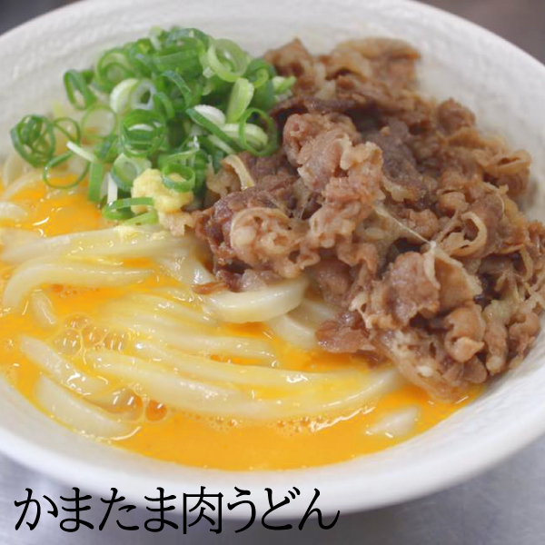 麺類 讃岐うどん 半生麺300ｇ 蕎麦300g 6食 1000円