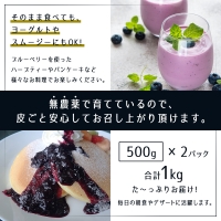  冷凍ブルーベリー500g×2パック（合計1kg）