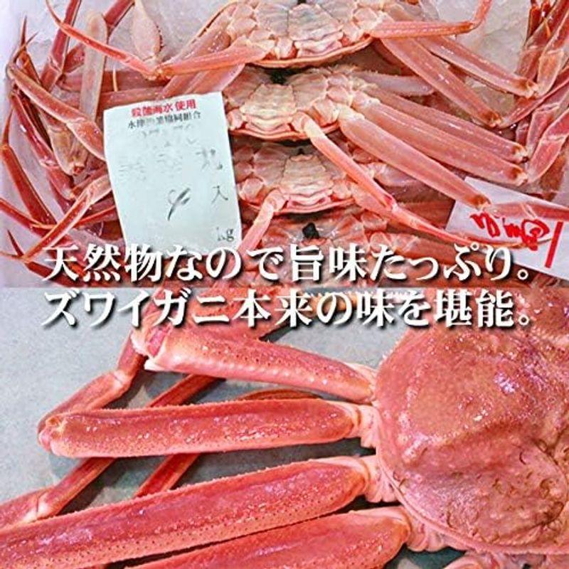 魚水島 活ズワイガニ姿 新潟・佐渡産「活 本ズワイガニ」（生 本ずわい蟹）400g以上