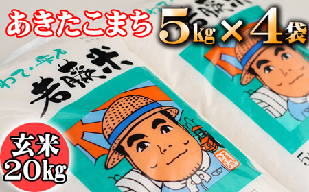 新米 雫石町産 あきたこまち 玄米 約20kg  ／ 米