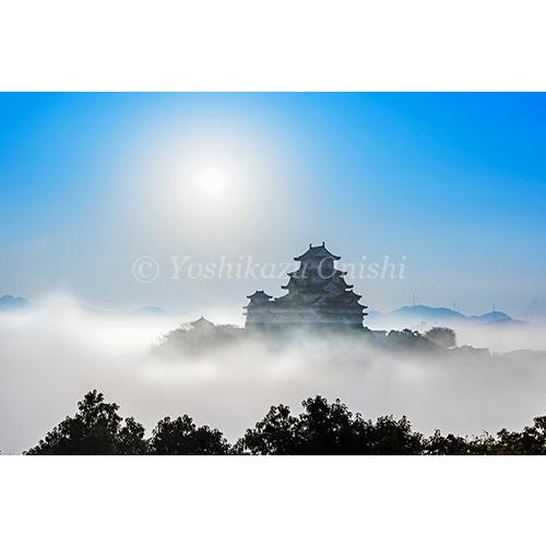 絶景姫路城 世界文化遺産・国宝 大西義和 写真