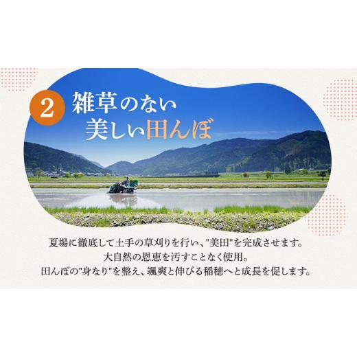 ふるさと納税 福井県 若狭町 令和5年産 福井県若狭町コシヒカリ（一等米） 5kg（山心ファーム） [No.5580-0460]